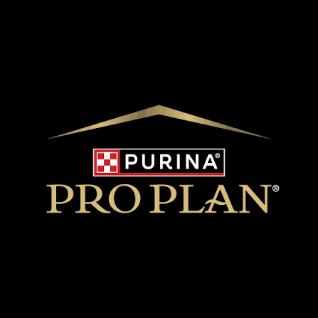 pro plan