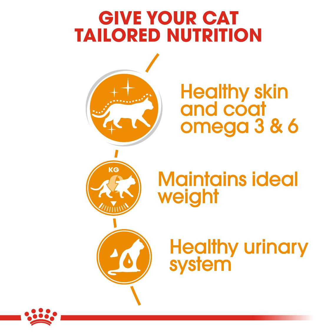 Royal Canin Hair & Skin Care Wet Food Slices in Gravy for Adult Cats (1+ Years) 85gm
